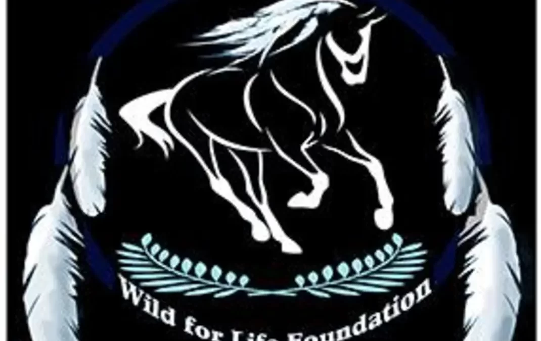 “Save America’s Majestic Mustangs: Join Us for an Exclusive Live Zoom Event on Feb 29th!”